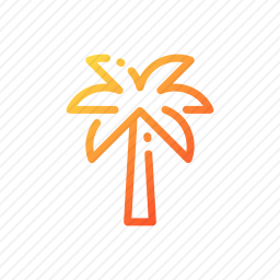 枣树