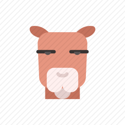 骆驼