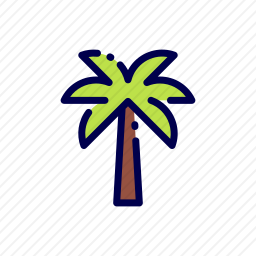 枣树