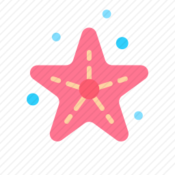 海星