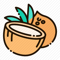 <em>椰子</em>