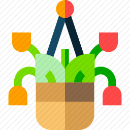 植物