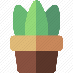 盆栽植物
