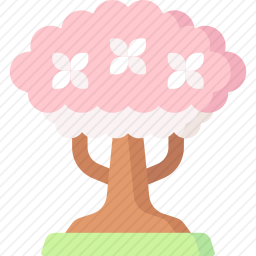 樱花