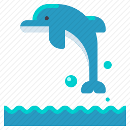 海豚