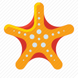 海星
