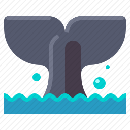 <em>鲸鱼</em>