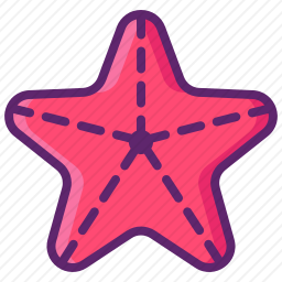 海星