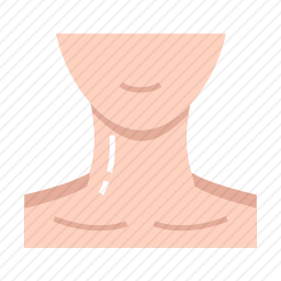 脖子