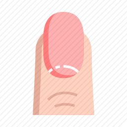 指甲