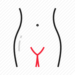 <em>身体</em>