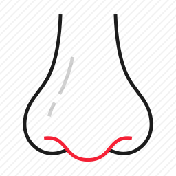 <em>鼻子</em>