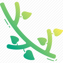 枝