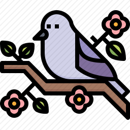鸟