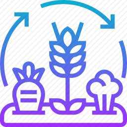 <em>植物</em>