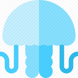水母