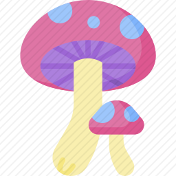 蘑菇