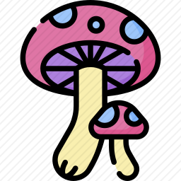 蘑菇