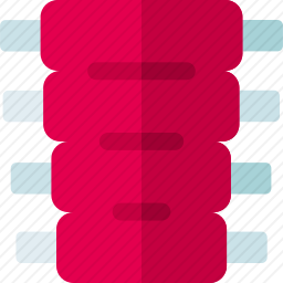 排骨