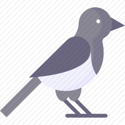 鸟