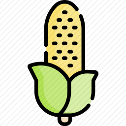 <em>玉米</em>