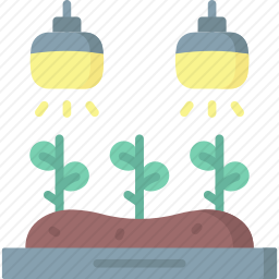 灯泡