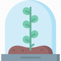 植物