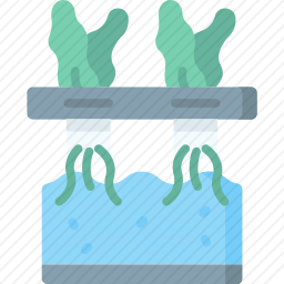 水培