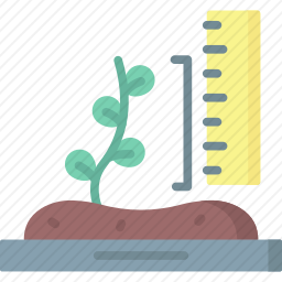 大小