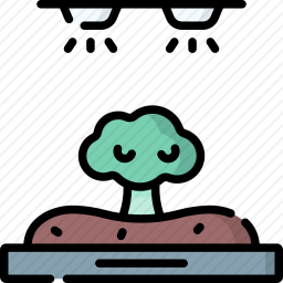 <em>蔬菜</em>