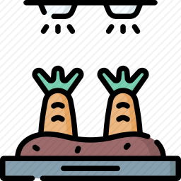 <em>蔬菜</em>