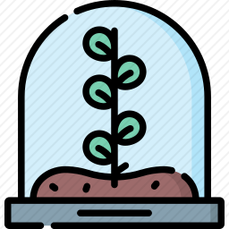 植物