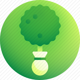 <em>种树</em>