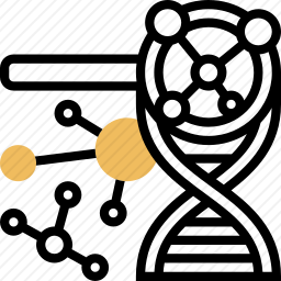 分子