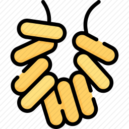 Sushki