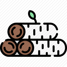 桦木