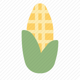 玉米