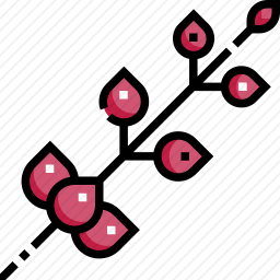 刺桐