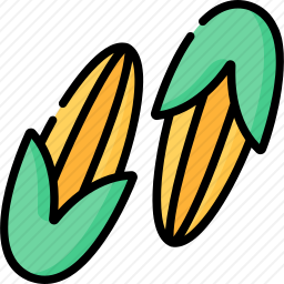 <em>玉米</em>