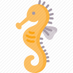 <em>海马</em>