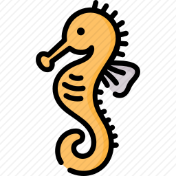 <em>海马</em>