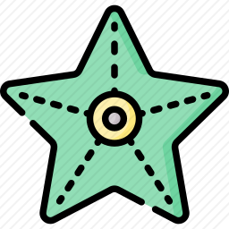 海星