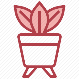 植物