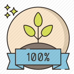 100百分之