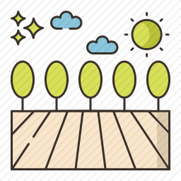 领域