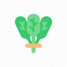 蔬菜