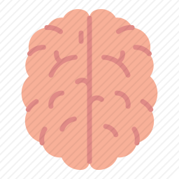 脑