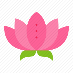 莲花
