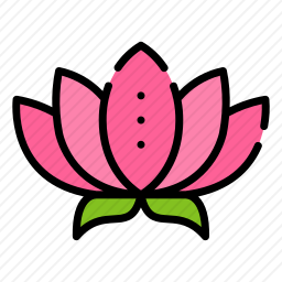 莲花