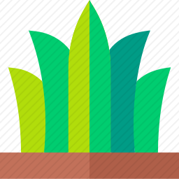 草